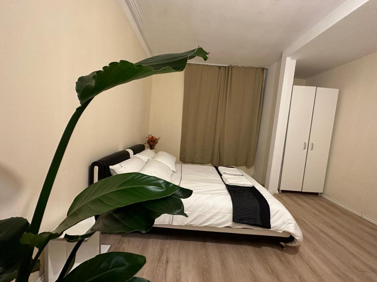 North London A Spacious 7 Bedroom House Accommodating Up To 18 People Complete With Own Gym And Table Tennis Екстер'єр фото